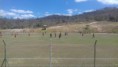 /album/america-futebol-clube-mg/a21557778-1877948752220951-3774103770318536308-n-1-jpg/